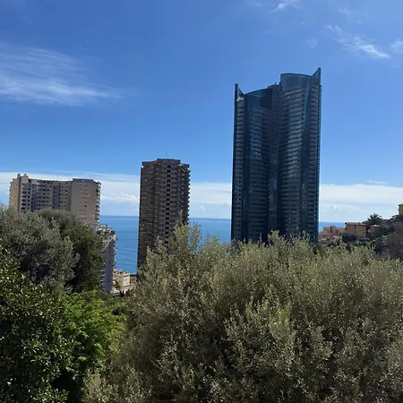 De Luxe Portes De - Vue - Piscine - Wifi モンテ・カルロ