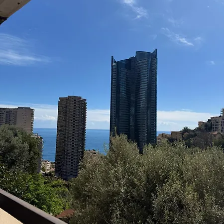 De Luxe Portes De - Vue - Piscine - Wifi * モンテ・カルロ